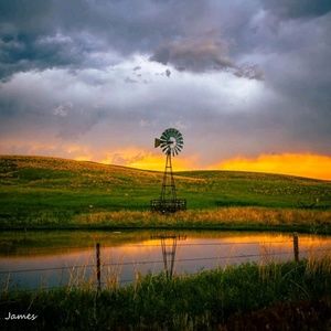 Meet your Posher, Leann